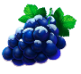 Sweet Bonanza Grapes